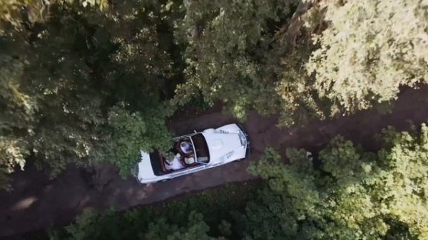 Forest Dew - первая полностью стеклянная оранжерея в Подмосковье! Твоя картинка из Pinterest🖤