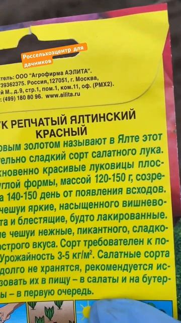 Ялтинский лук в Подмосковье. Только рассадным способом можно получить хорошую луковицу. смотреть онлайн
