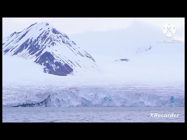 мы родились в сибири//несчастный случай//обзор канала смотреть онлайн