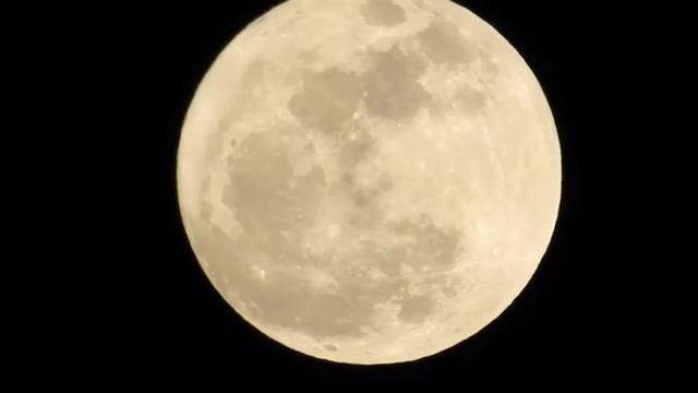 Nikon #P900 #Luna de cosecha смотреть онлайн