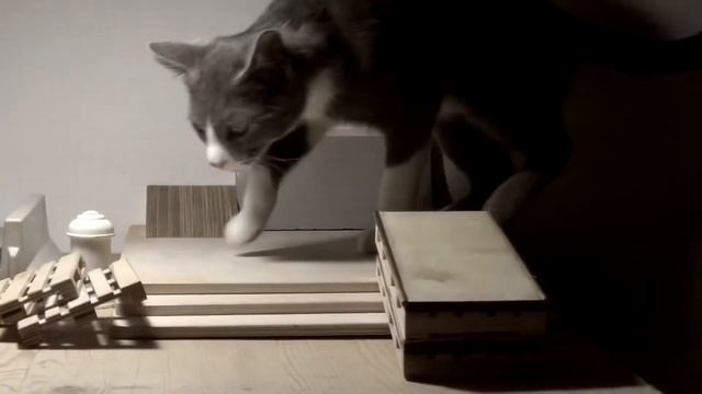 Systeam Fingerboards: Neronov Vlad - 'Magic Silent' смотреть онлайн