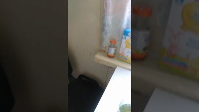 Как сделать из сока мороженое