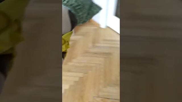 Ponchik Makes Me Do It Every Day (Пончик заставляет меня делать это каждый день)