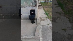 #топ #туалет #славароссии #скибидитуалет