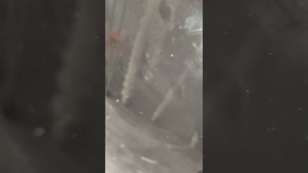 Стиральная машина LERAN 78148 отзыв, обзор