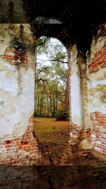 The Rd To Hunting Island And The SC Lowcountry. With Old Sheldon Church.