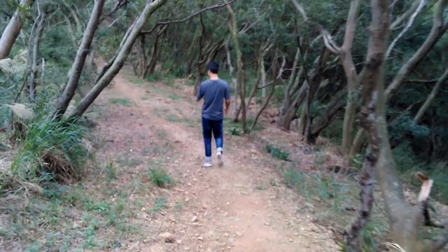 HOVER CAMERA  樹林飛行