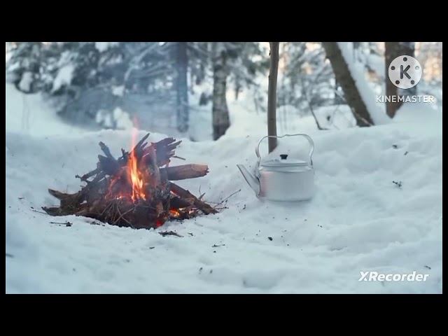 мы родились в сибири/хорошо живём/обзор канала смотреть онлайн