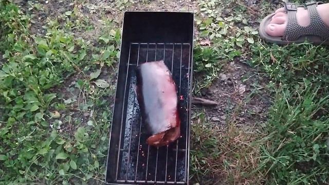 12 августа 2023 г. КОПЧЁНАЯ ГОРБУША