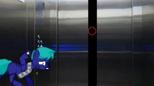 Пони страшилка "Лифт которого не было"