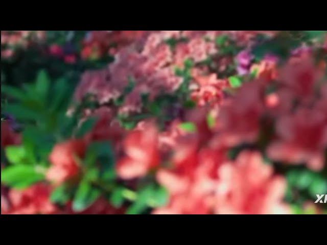 мы родились в сибири//как в страшном сне//обзор канала смотреть онлайн