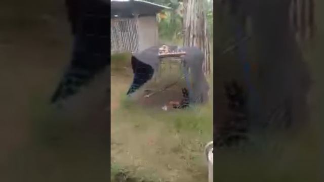 Livestream Tayo Saglit Guys August 7 Tara Let's Go Guys!