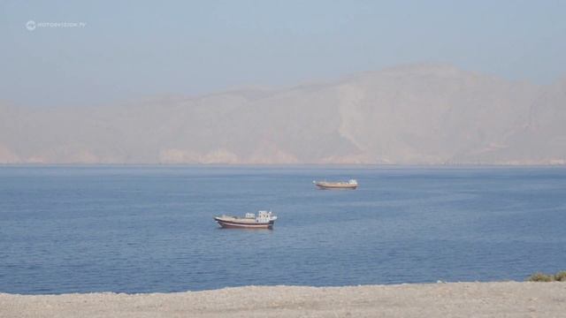 Harley-Davidson in Dubai | Motorvision смотреть онлайн