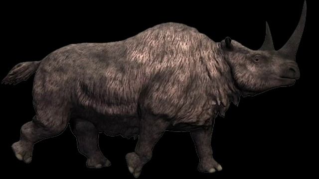 Woolly Rhinoceros Sound Effect смотреть онлайн