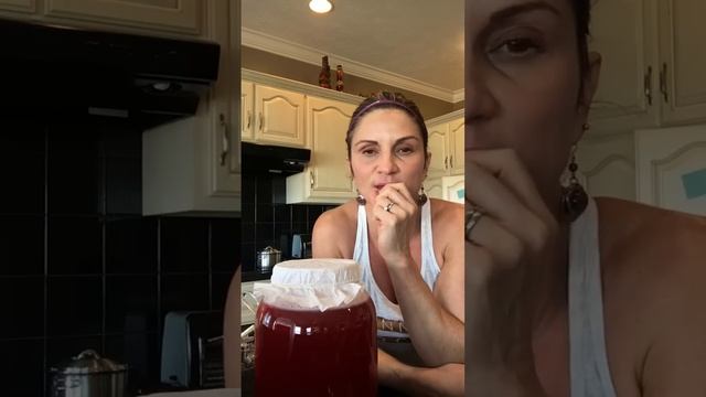 Como Fazer Kombucha de Hibisco com Morango e Menta смотреть онлайн