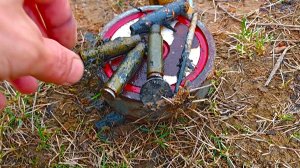 Покидал магнит в озеро и посмотрите, что я оттуда достал.