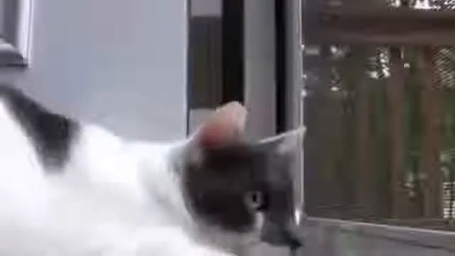 flv big size 1410181999 big смотреть онлайн