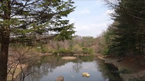 Отдых в палатке в сильный дождь