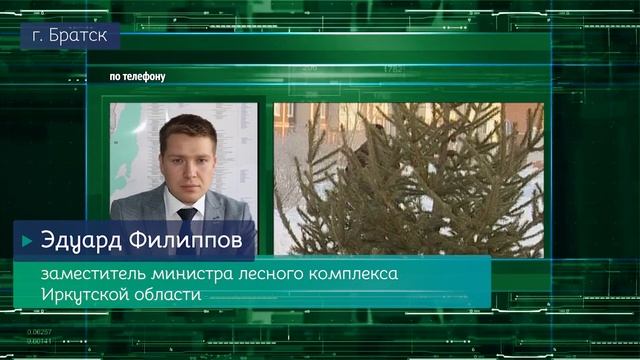Братск в этом году останется без традиционных ёлочных базаров смотреть онлайн