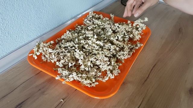 Going To The Old House In The Village | A Quick Breakfast, Harvesting, Gardening | Country Life