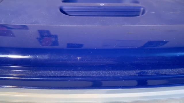 Breeding ISOPODS and UPDATES on Inverts!