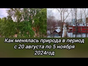 Как менялась природа в период с 20 августа по 5 ноября. Сыктывкарская осень 2024г