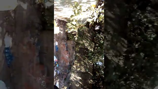 Краснодар ЖКХ ООО Центр услуг по управлению жилыми домами смотреть онлайн