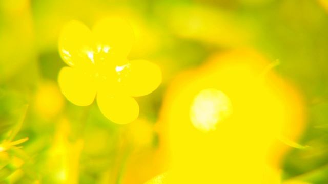 |Chill Out Music| |Nature| |HD 1080p| смотреть онлайн