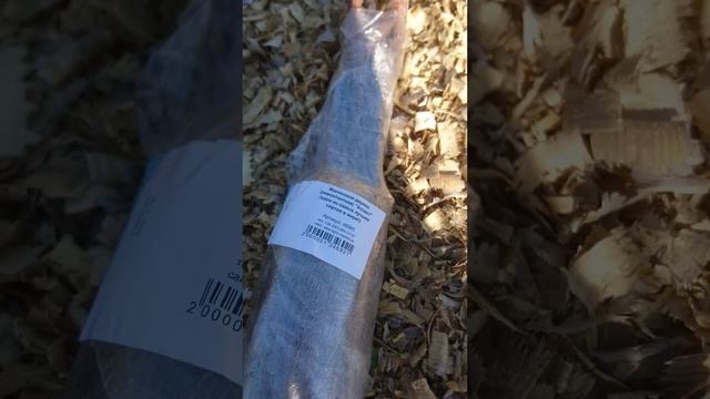 Саджанці штамбової малини Атлант та Королівська влада, ожина Оушито Ouachita, малиново ожиновий гіб смотреть онлайн