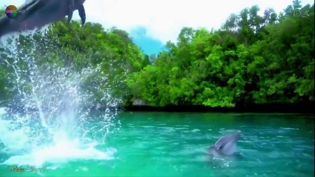 Видео. Музыка для Души. смотреть онлайн