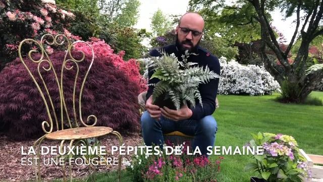 Quelles plantes choisir pour un balcon ou une terrasse à l'ombre ? смотреть онлайн