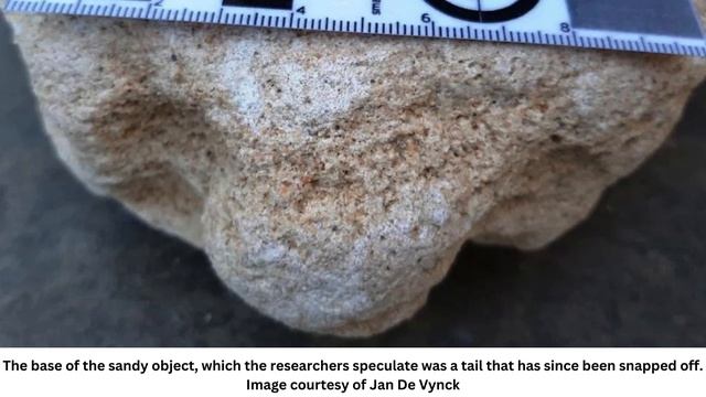 A 130,000-Year-Old "Stingray Sand Sculpture" May Be World's Oldest Animal Art смотреть онлайн