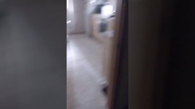 Дикие бабуины тёмное прошлое 4 серия 1 сезон смотреть онлайн