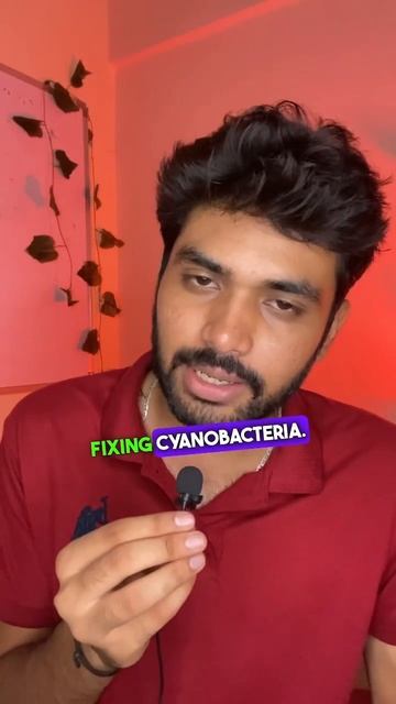 Gymnosperms Plant Kingdom🔥NEET 2024 Practice Questions | Last Minute Tips