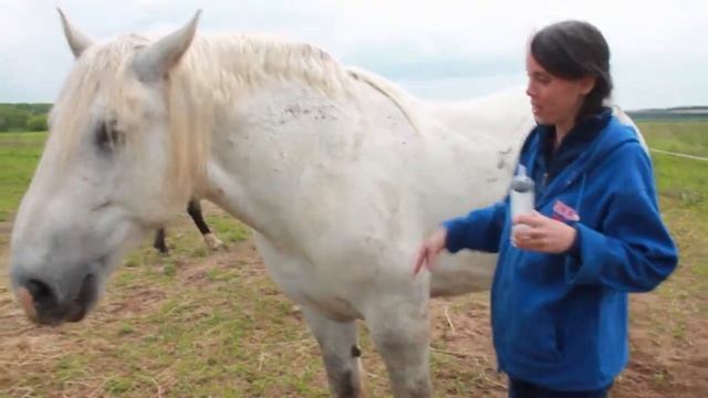 Калач принимает лекарства