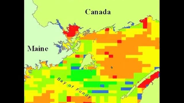 2008 Sea Surface Temperature and Right Whale Sightings Bay of Fundy смотреть онлайн