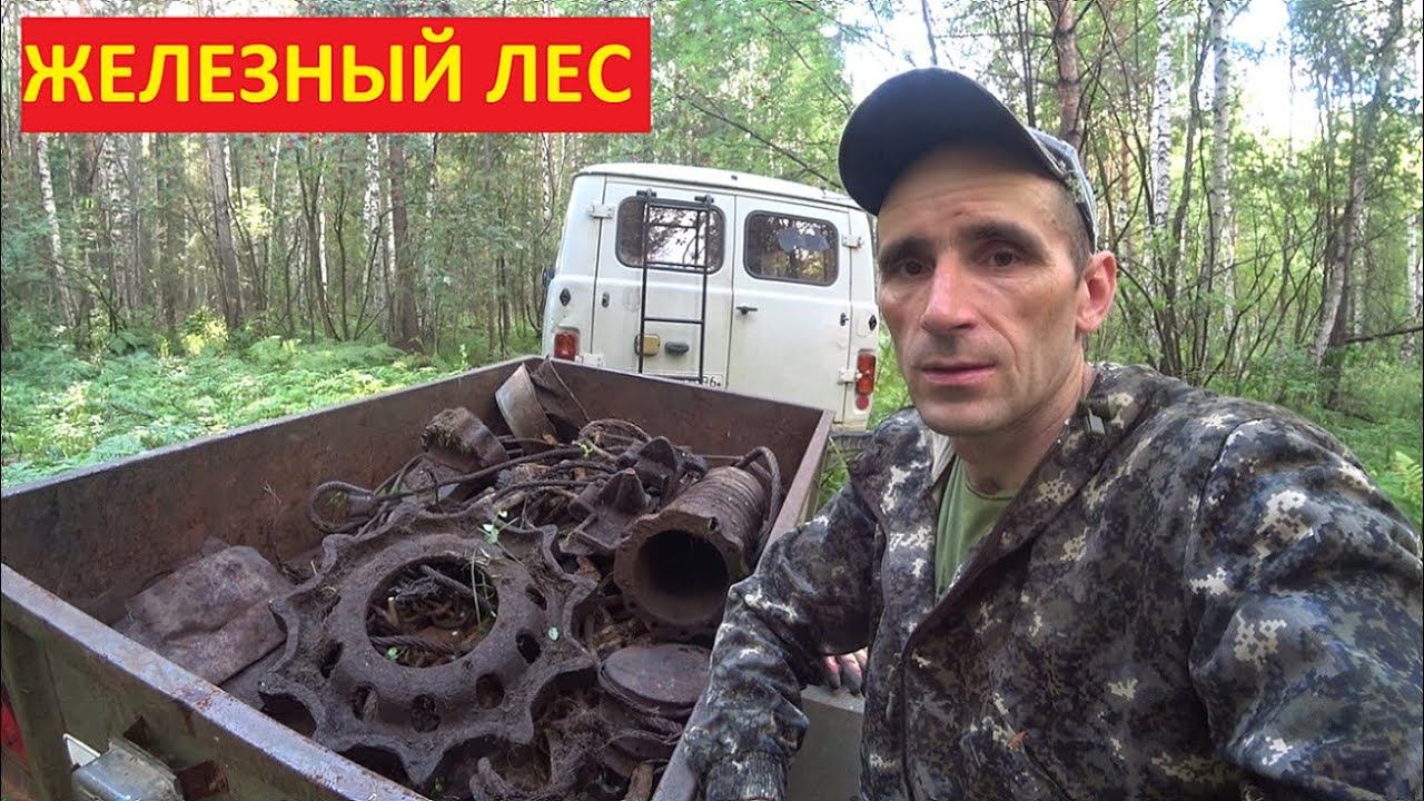 РАСПАКОВКА,ОБЗОР И ПОИСК МЕТАЛЛА В ЛЕСУ НОВЫМ МЕТАЛЛОИСКАТЕЛЕМ KAIWEETS KGM01! НАХОДКИ ПОРАДОВАЛИ! смотреть онлайн