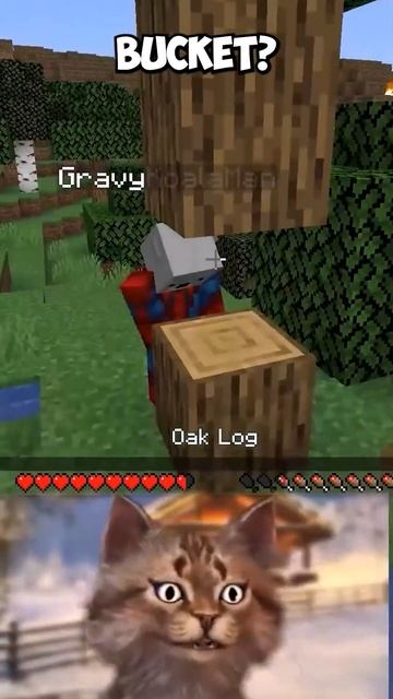 Trolling In Minecraft With Creative Mode