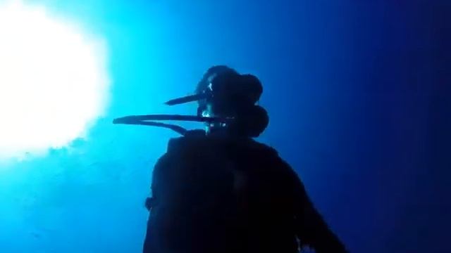 Bali scuba diving - USS Liberty wreck смотреть онлайн