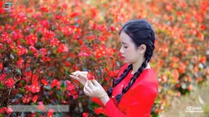 Duyên Nợ Miền Tây - LK Dân Ca Miền Tây 2024, Nhạc Trữ Tình Quê Hương Chọn Lọc - Dân Ca Miền Tây