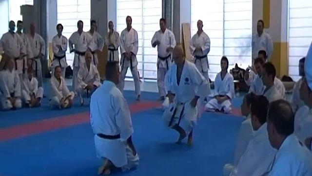 1 Мигель Гомес Накарино (каратэ). Бункай, кумитэ и ката ''Энпи'' (ч 1)