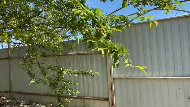 Поздравляю всех с Днём Победы!🇷🇺Стол праздничный, гуляю вдоль моря🌊🌹🪷🌳