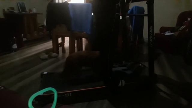 Муська на дорожке смотреть онлайн