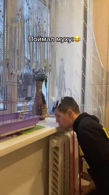 Поймал муху смотреть онлайн