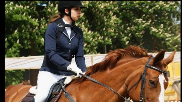 5 вересня відбудеться третій відкритий чемпіонат із кінного спорту Полтавщини смотреть онлайн