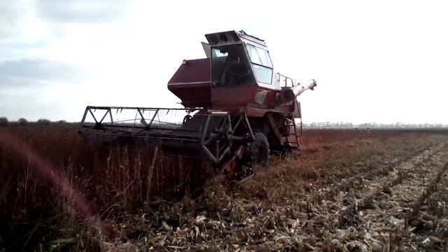 Молотимо гречку нива ск5 смотреть онлайн