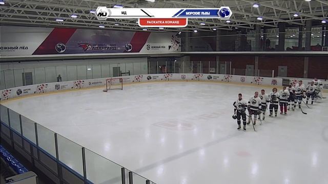 Матч РХЛ 19/20 "МД" - "МОРСКИЕ ЛЬВЫ" смотреть онлайн