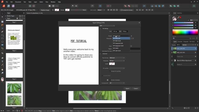 How to convert affinity publisher to TIFF смотреть онлайн