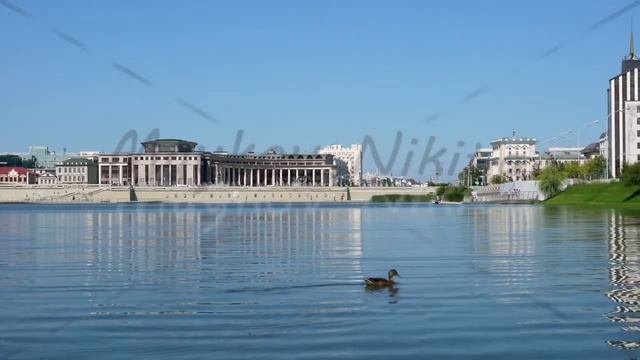 Kazan, Russia. Kaban Lake Embankment. Duck