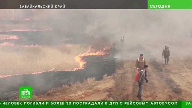 НТВ Природные пожары в России смотреть онлайн